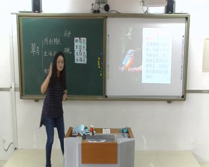 2.人教版语文三下《习作》国家级优质课