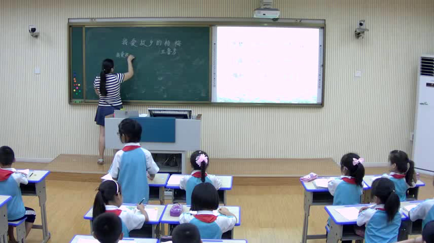 2.人教版语文三下《2　我爱故乡的杨梅》国家级优质课