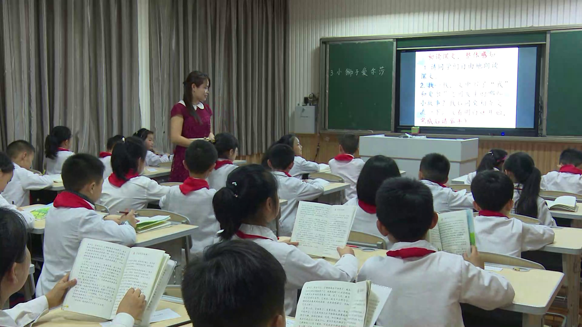 2.人教版语文三下《3　小狮子爱尔莎》国家级优质课