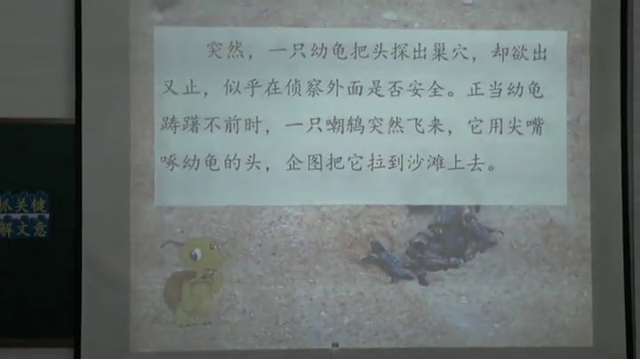 2.人教版语文四下 《9　自然之道》国家级优质课
