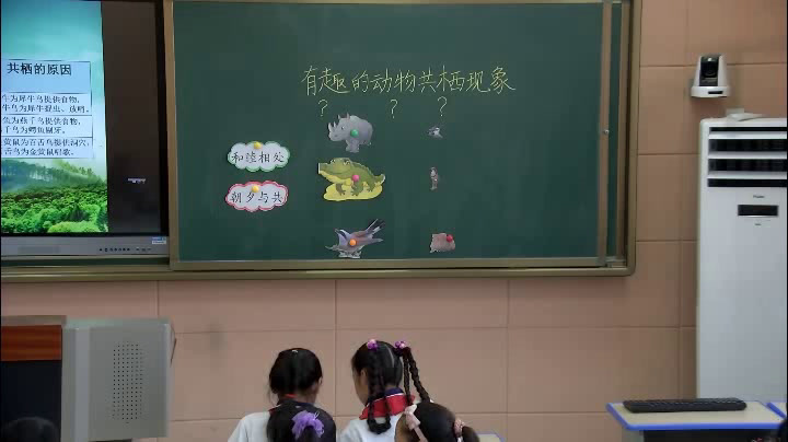 2.人教版语文四下 《3　有趣的动物共栖现象》国家级优质课