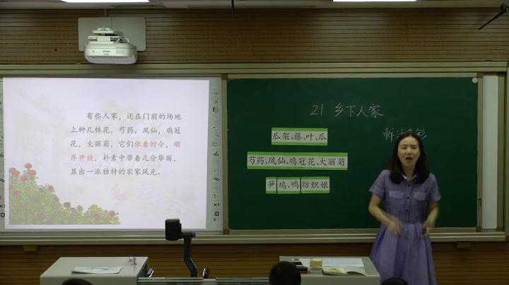 2.人教版语文四下 《21乡下人家》国家级优质课