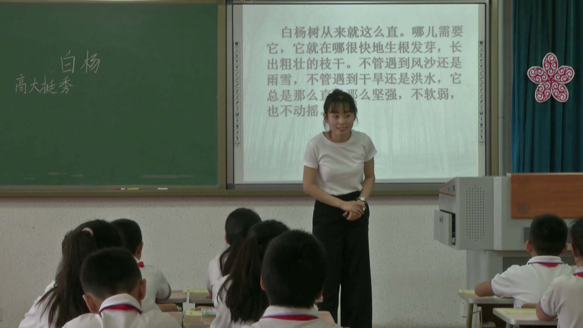 1.人教版语文五下《3　白杨》天津市省级优课