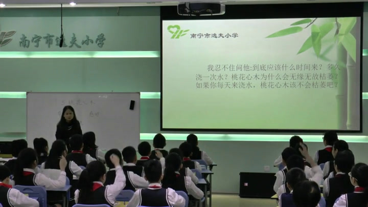 1.人教版语文六下《3　桃花心木》广西省级优课