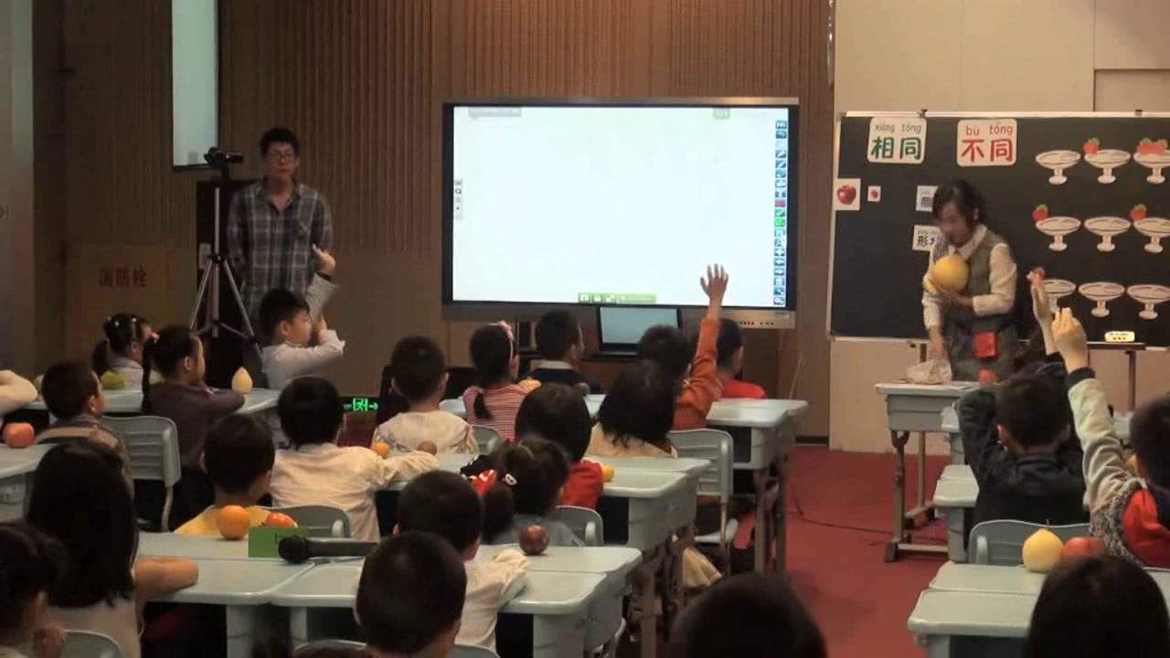 2.教科版科学一下《4.给物体分类》全国一等奖