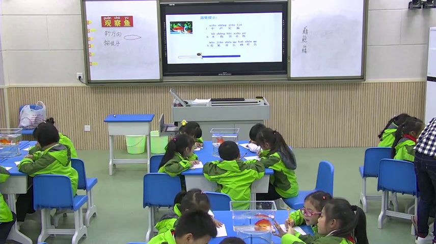 3.教科版科学一下《5.观察鱼》重庆市一等奖