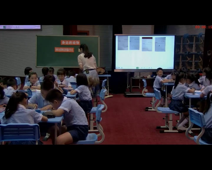 4.教科版科学一下《1.我们知道的动物》福建省市级一等奖