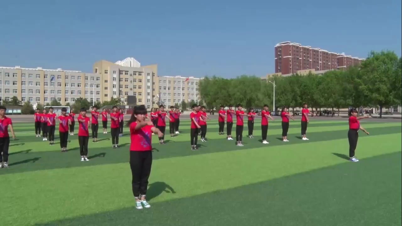 2.人教版体育八年级《正手发下旋球》辽宁省市级优课