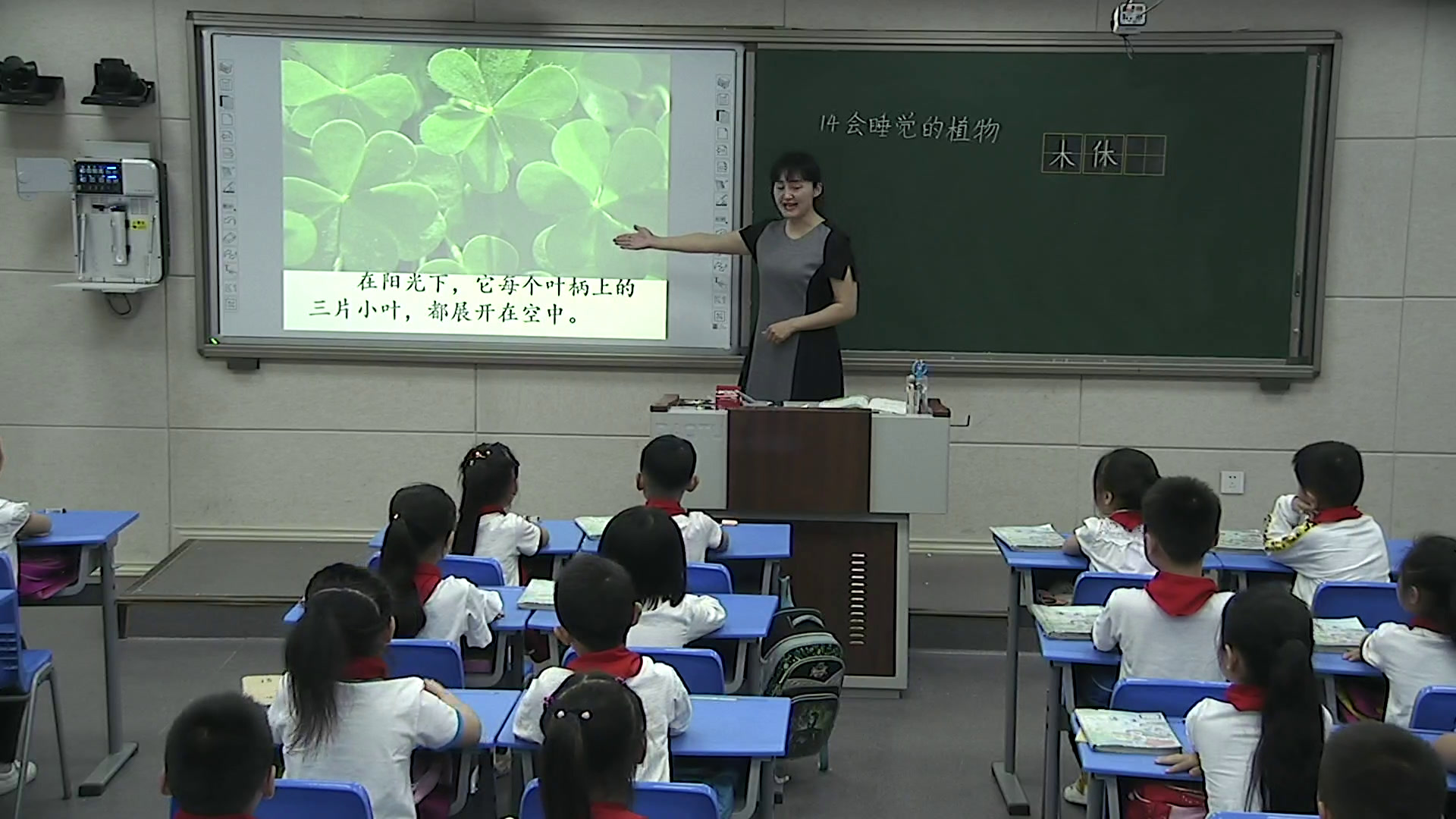 3.苏教2011版小学语文一下《14会睡觉的植物》全国一等奖