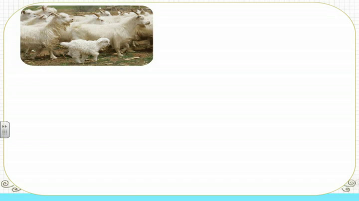 2.苏教2011版小学语文一下《识字6人从众木林森》江苏省市一等奖
