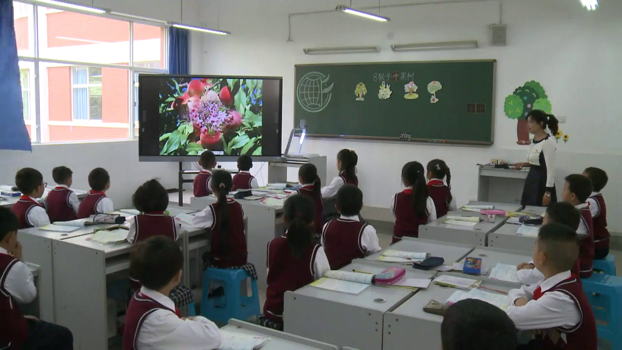 2.苏教2011版小学语文二下《8猴子种果树》全国一等奖