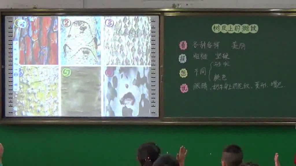 1.人美2011版美术二下《第3课认识身边的树》全国一等奖