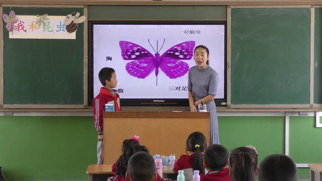 4.人美2011版美术一下《10.我和昆虫》陕西省省一等奖