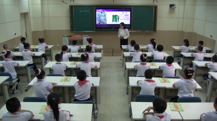 2.人美2011版美术三下《2.画中的线条》全国一等奖