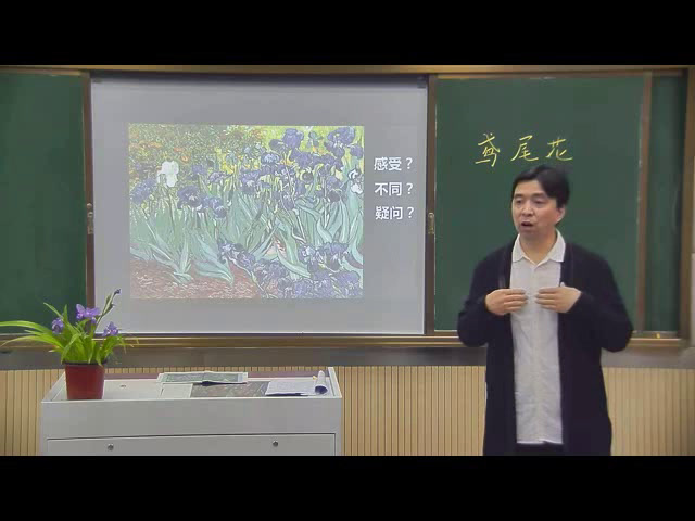 2.人美2011版美术四下《鸢尾花》安徽省省一等奖