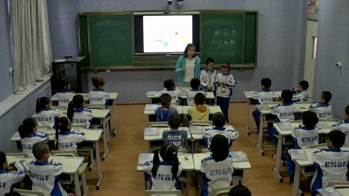 1.北师大数学一下《数花生》全国一等奖