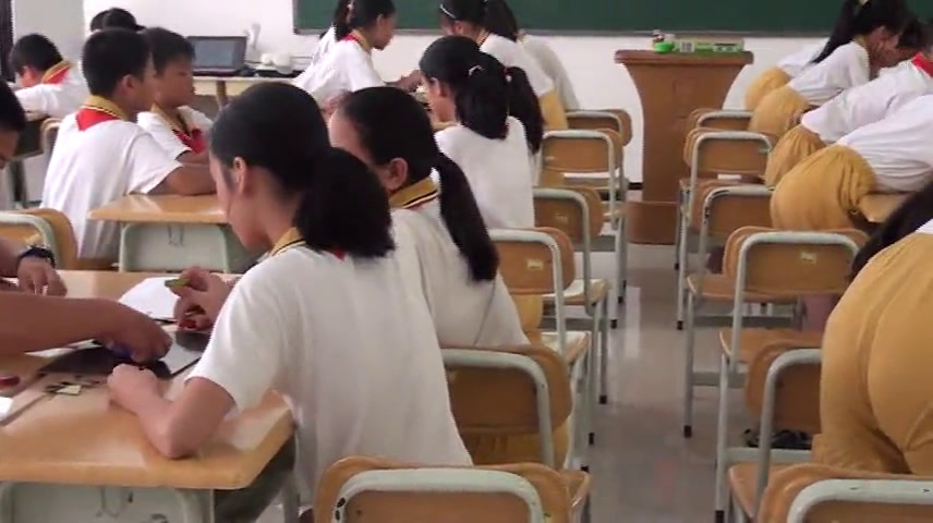 2.北师大数学四下《密铺》广东省省一等奖