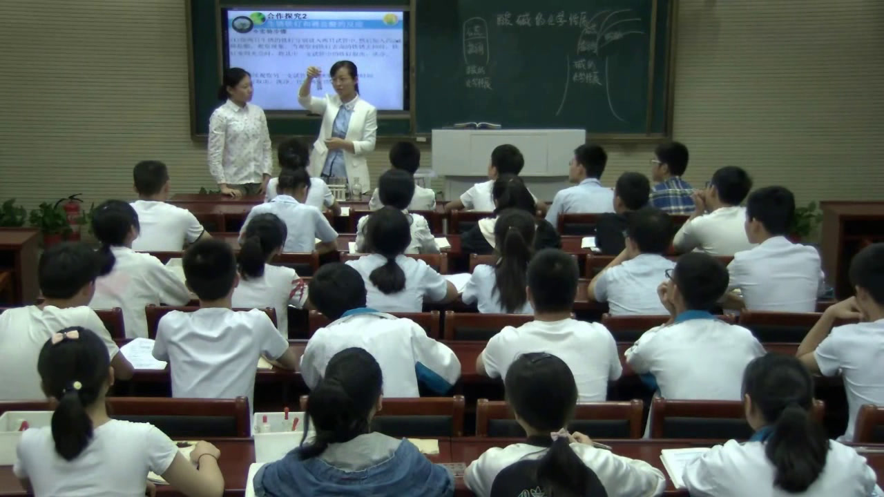 2.人教版化学九下《实验活动6　酸、碱的化学性质》国家级优质课