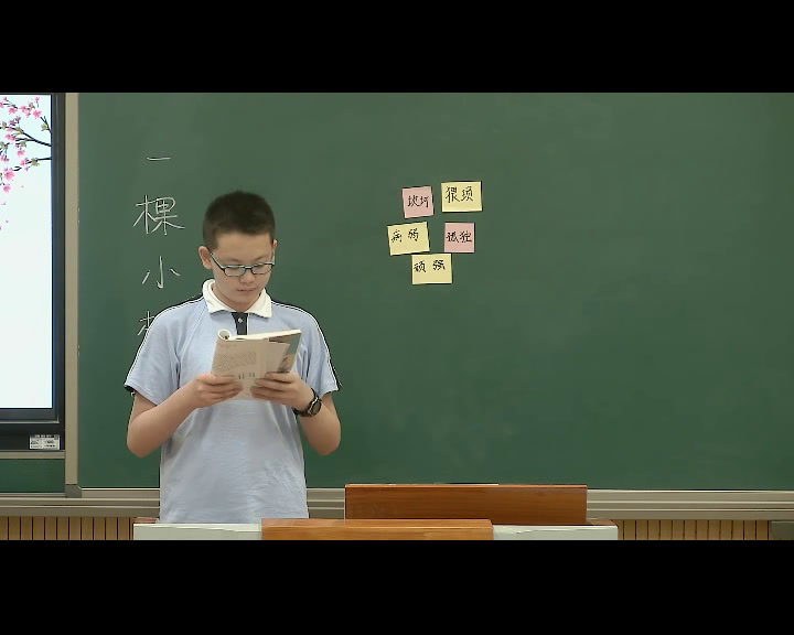 1.人教版语文（部编）七下《18一棵小桃树》国家级优质课