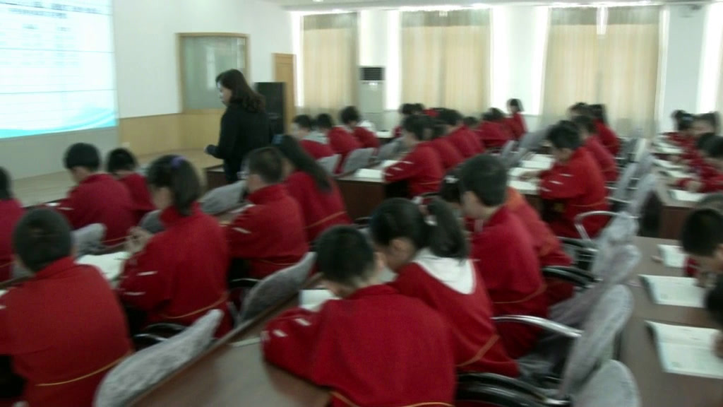 2.北师大数学六下《可爱的小猫》辽宁省市一等奖