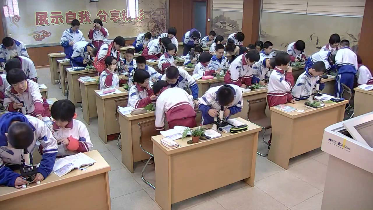 初中生物人教2011版七上《第一节　藻类、�…》全国一等奖