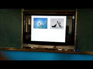 初中生物人教2011版七上《科学·技术·社会�…》安徽省市一等奖
