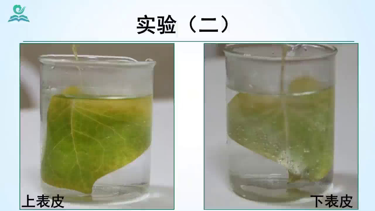 初中生物人教2011版七上《科学·技术·社会�…》湖北省县一等奖