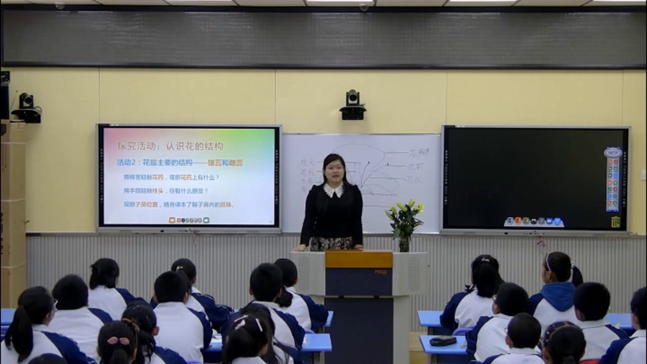 14.初中生物人教2011版七上《第三节　开花和结果》甘肃省省一等奖