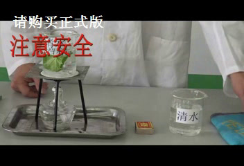 初中生物人教2011版七上《科学·技术·社会�…》辽宁省县一等奖