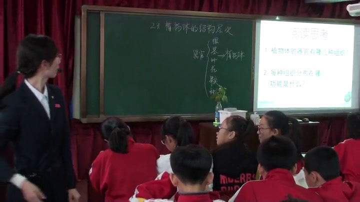 初中生物人教2011版七上《第三节　植物体�…》黑龙江省省一等奖