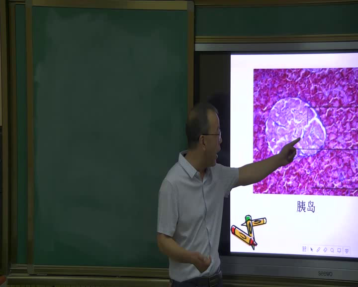 3.初中生物人教2011版七下《科学家的故事　王…》甘肃省市一等奖