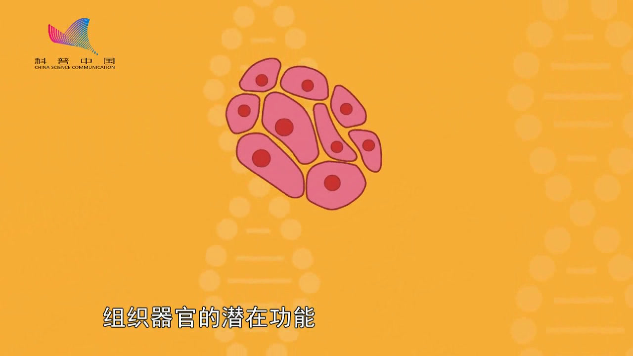 2.初中生物人教2011版七下《科学　技术　社会…》全国一等奖