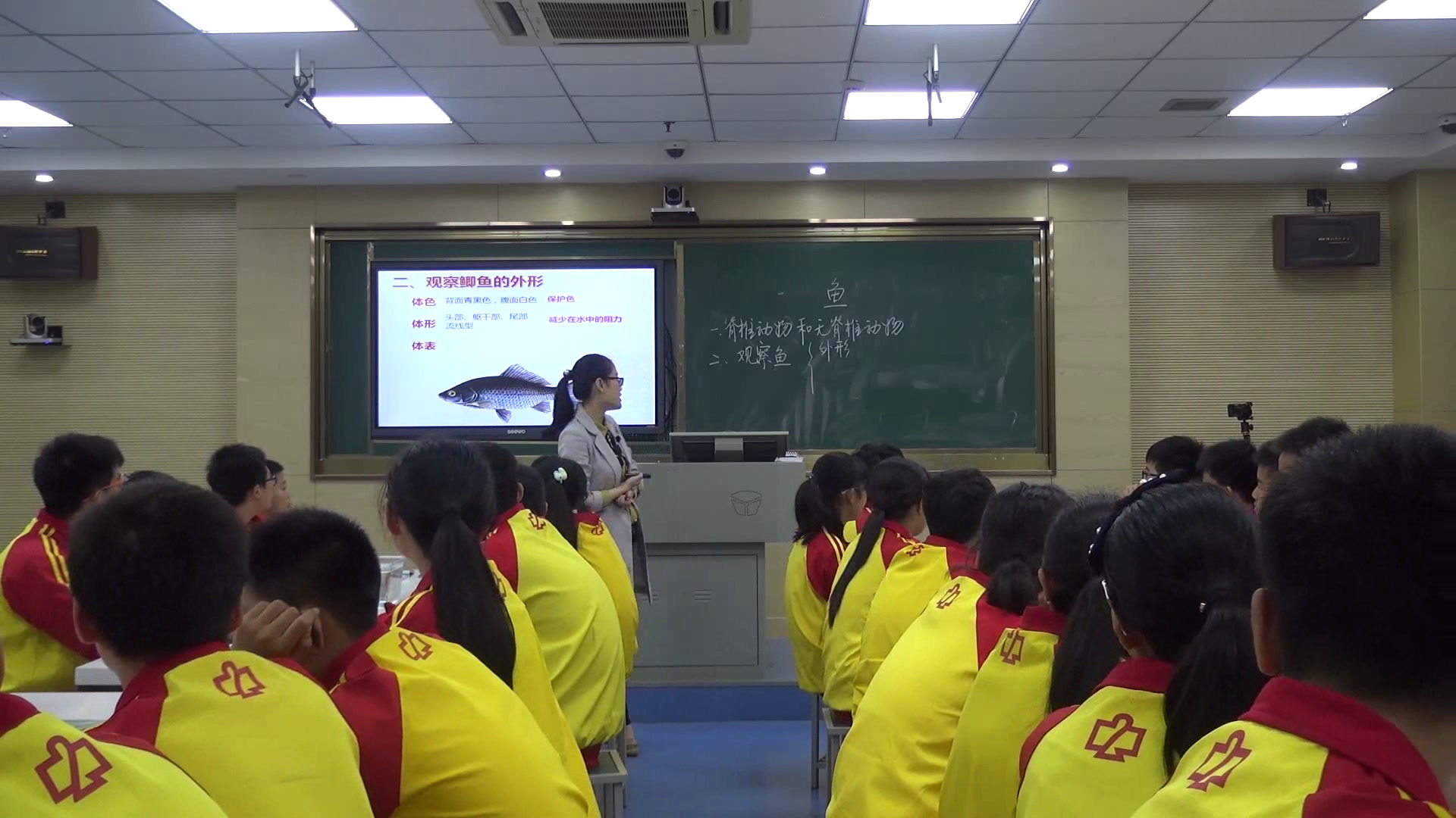 3.初中生物人教2011版八上《第四节　鱼》全国一等奖