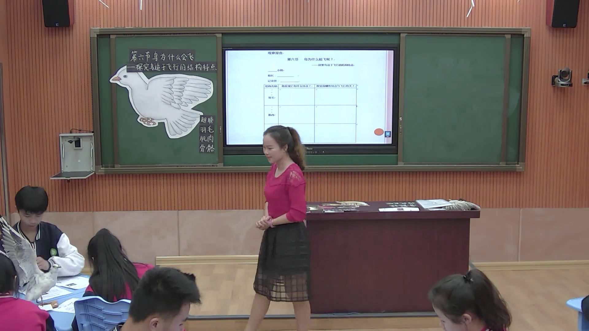 1.初中生物人教2011版八上《第六节　鸟》全国一等奖