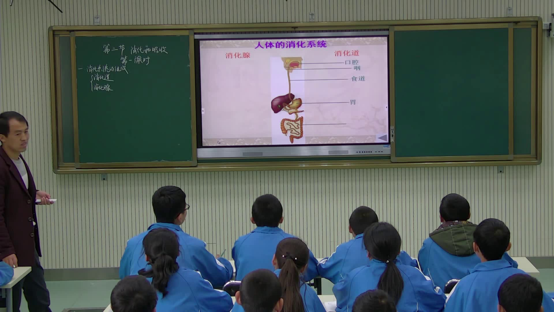 5.初中生物人教2011版七下《第二节　消化和吸收》甘肃省省一等奖