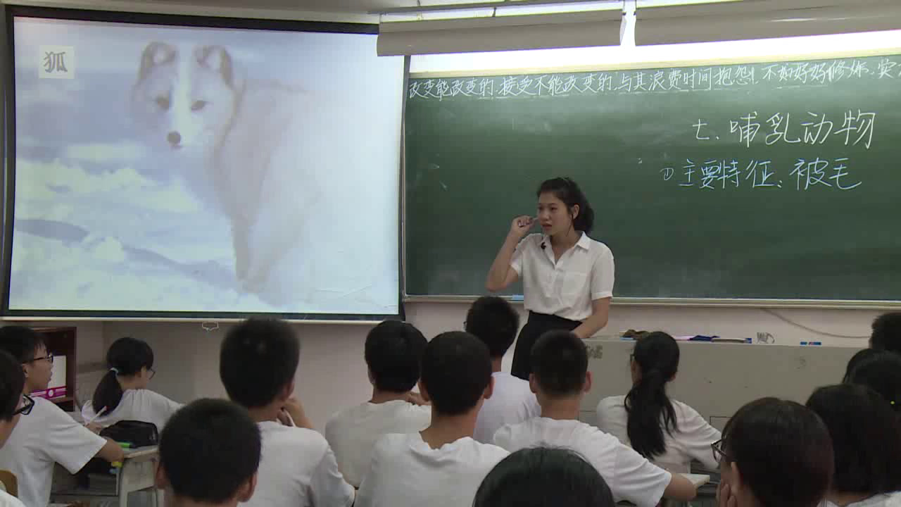 3.初中生物人教2011版八上《第七节　哺乳动物》广东省省一等奖