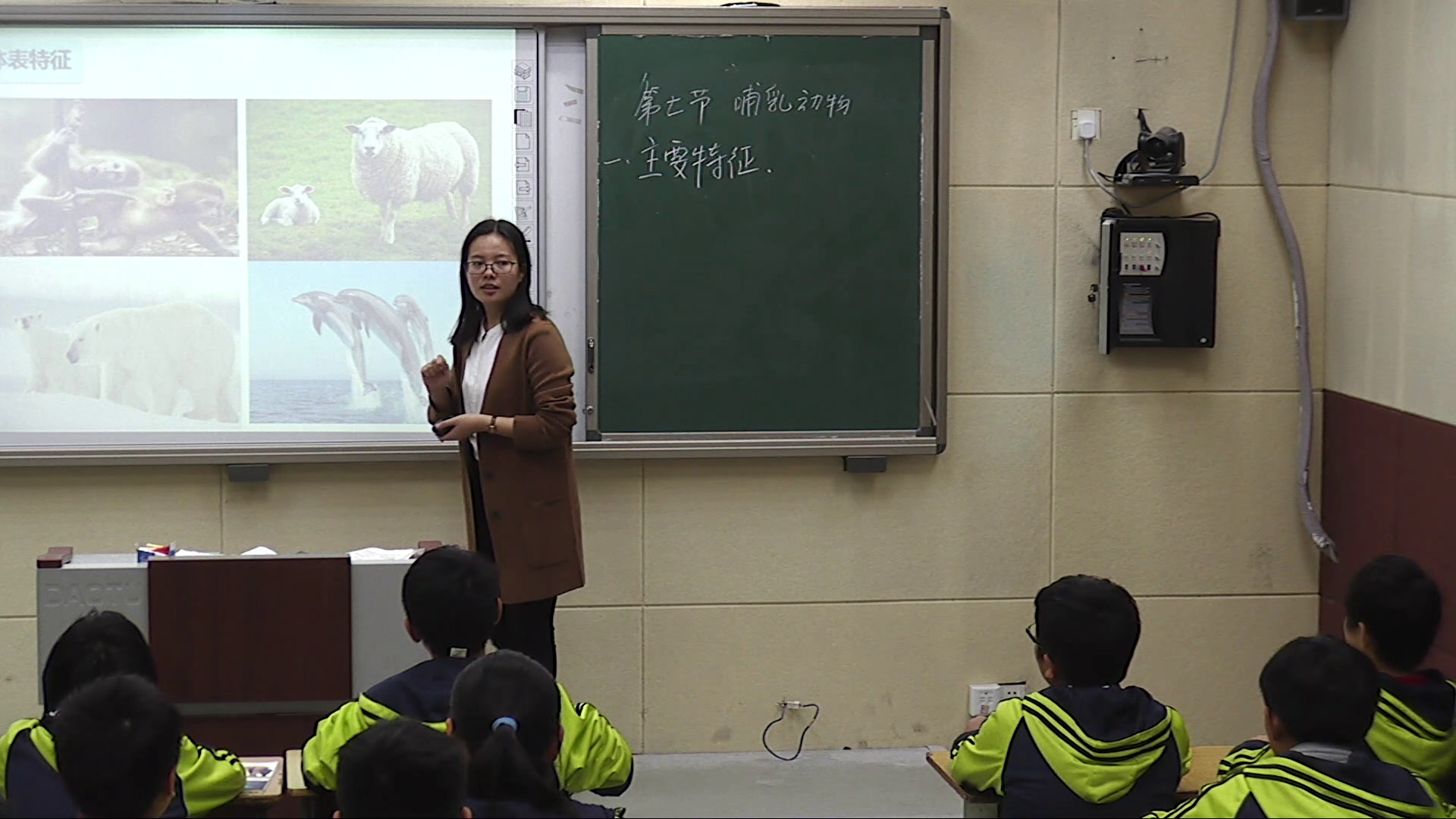5.初中生物人教2011版八上《第七节　哺乳动物》河南省省一等奖
