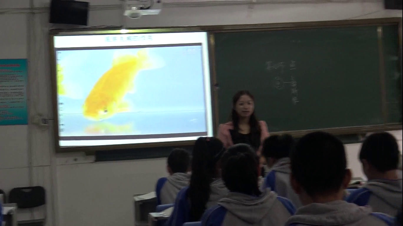 1.初中生物人教2011版八上《第四节　鱼》安徽省省一等奖