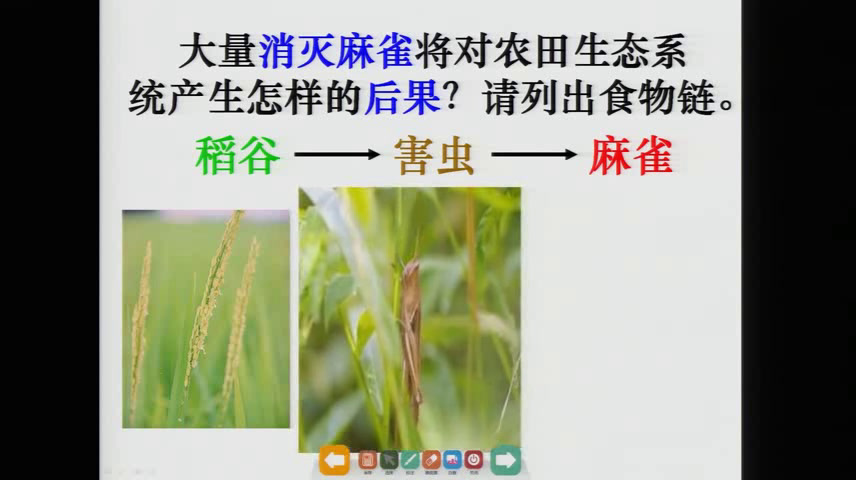 初中生物人教2011版八上《科学·技术·社会�…》重庆市县一等奖