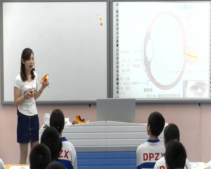 2.初中生物人教2011版七下《第一节　人体对外…》湖南省省一等奖