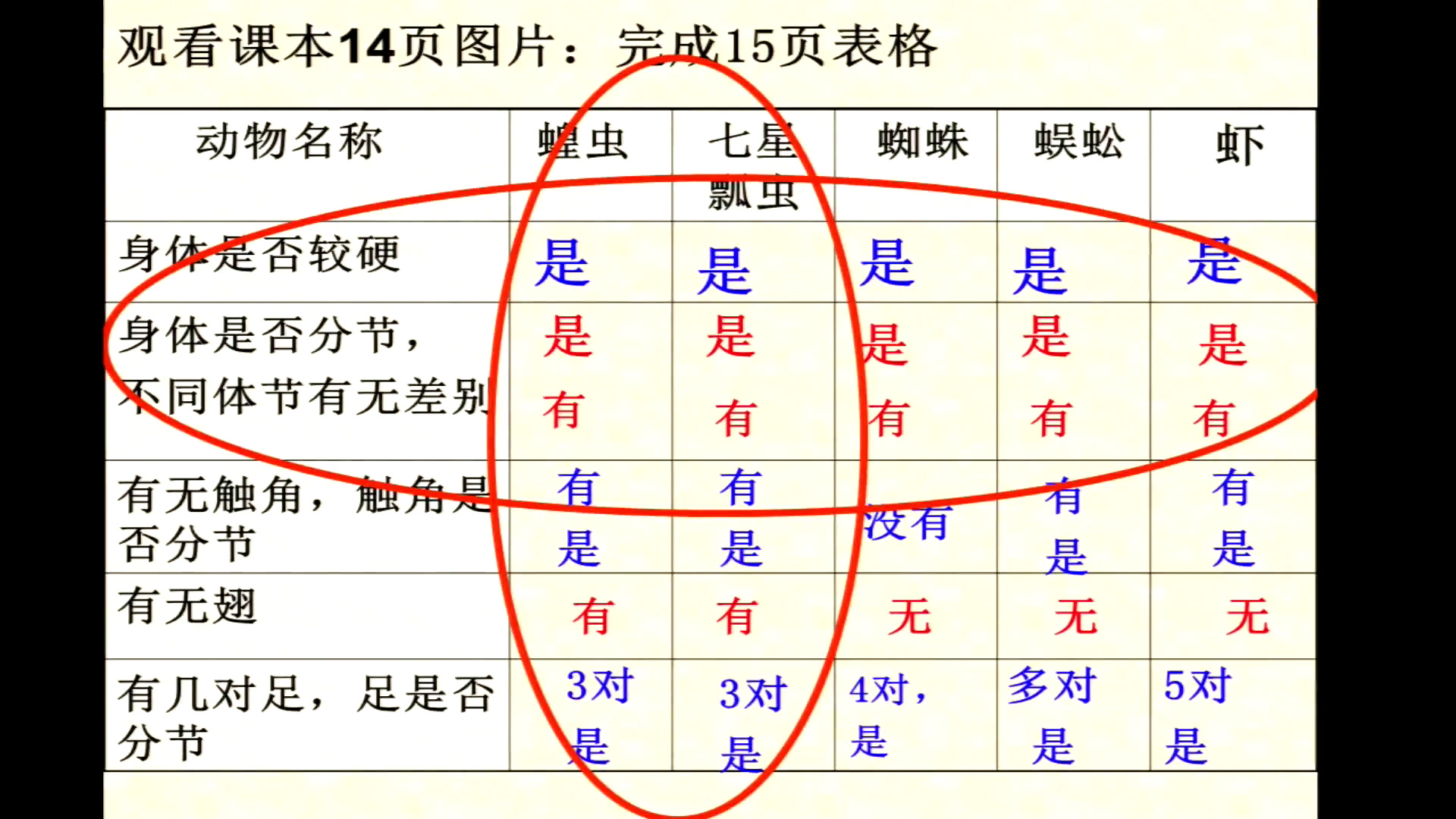 3.初中生物人教2011版八上《第三节　软体动物…》全国一等奖