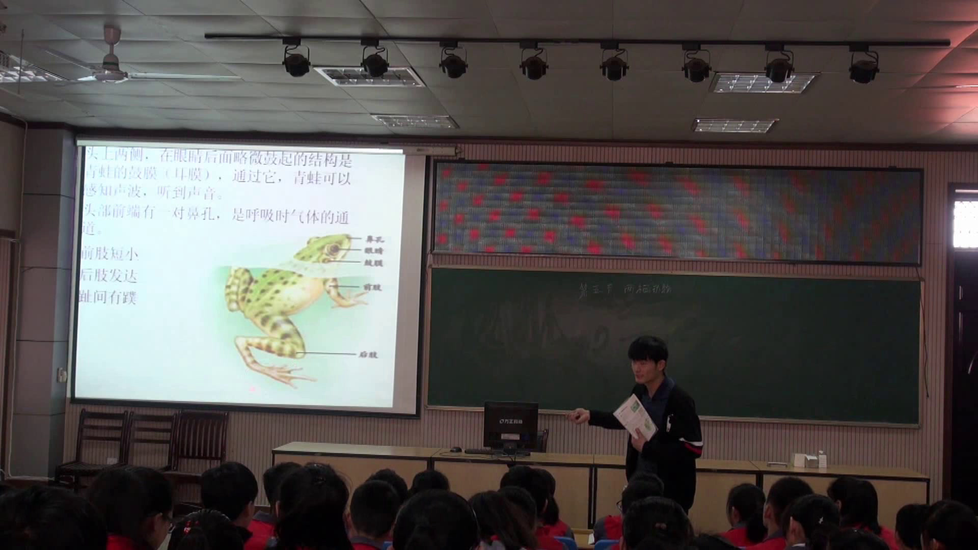 1.初中生物人教2011版八上《第五节　两栖动物…》安徽省市一等奖