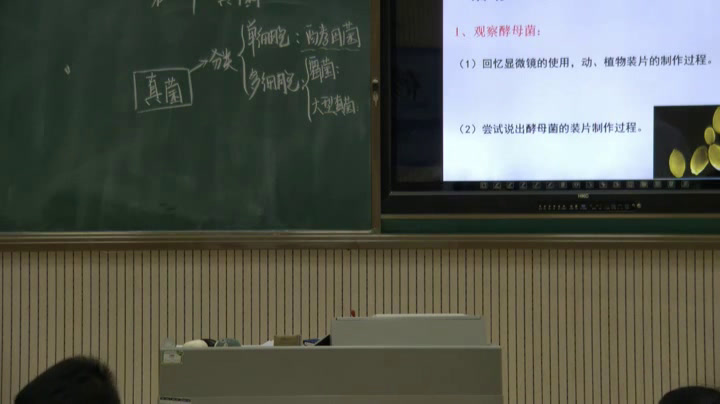 4.初中生物人教2011版八上《第三节　真菌》辽宁省省一等奖