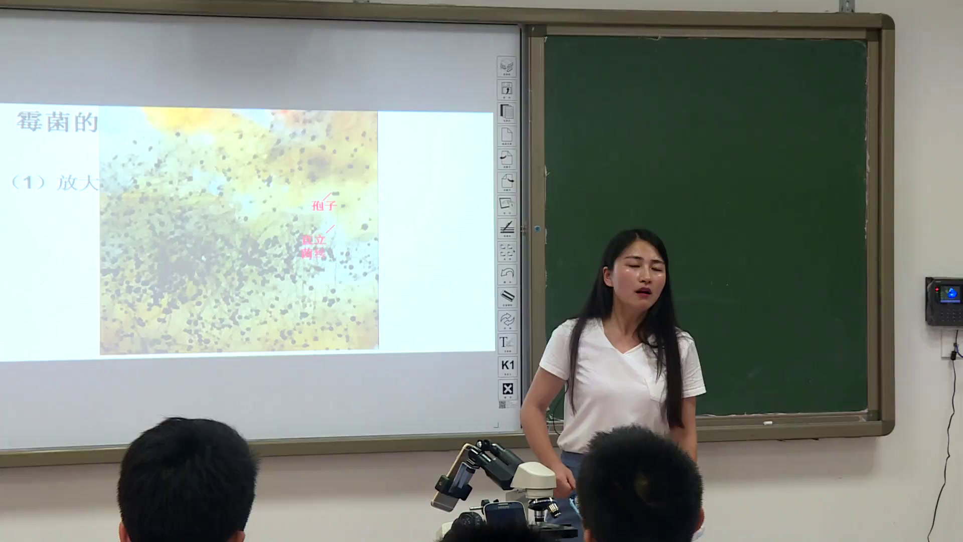 3.初中生物人教2011版八上《第三节　真菌》全国一等奖