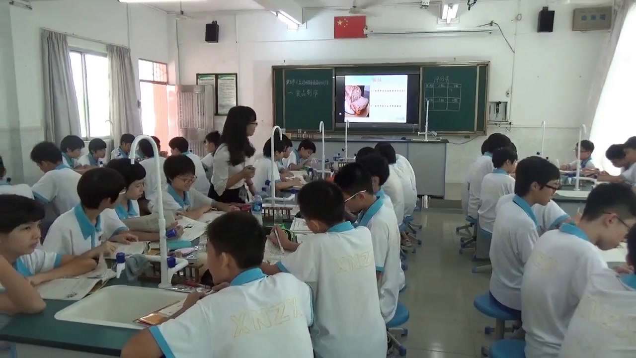 3.初中生物人教2011版八上《第五节　人类对细…》全国一等奖