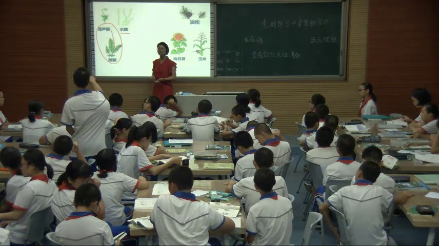 3.初中生物人教2011版八下《本草纲目》福建省省一等奖