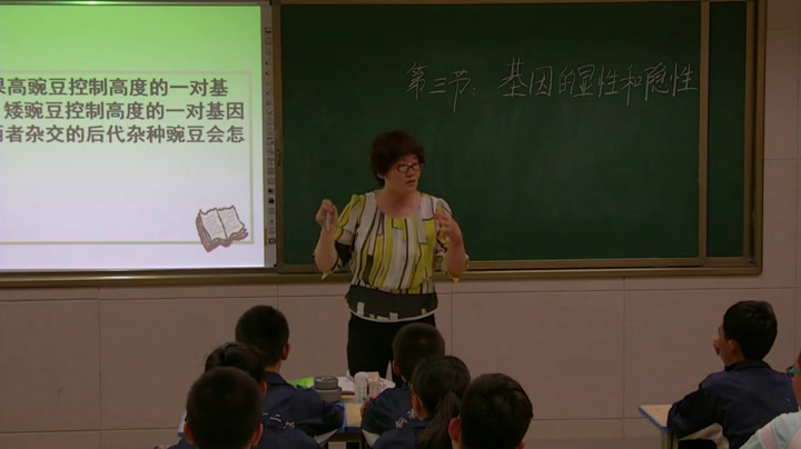 1.初中生物人教2011版八下《第三节基因的显性和隐性》内蒙古省一等奖