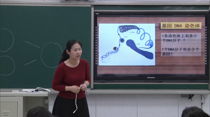 初中生物人教2011版八上《第二节基因在亲�…》天津市省一等奖