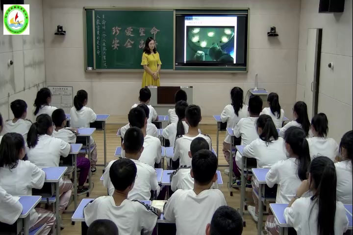 1.综合实践活动7-9年级《6.交通秩序我维护》辽宁省市一等奖