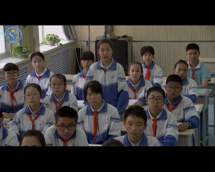 3.初中数学北师大2011版七下《回顾与思考》全国一等奖